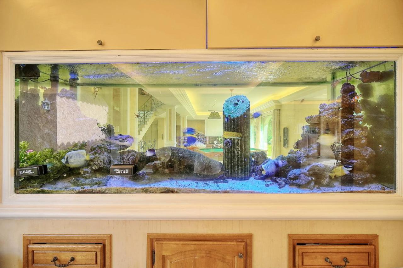 "Au Havre De Paix" 5 Etoiles Prestige Jacuzzi, Hammam, Sauna, Piscine Chauffee Mougins Cannes Grasse Dış mekan fotoğraf